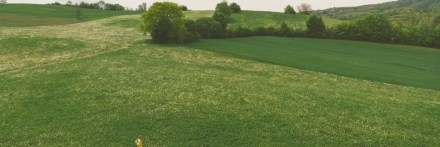 Beierholm-energiafgifter-landbrug.jpg