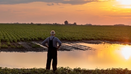 HLB agriculutre-climate.jpg