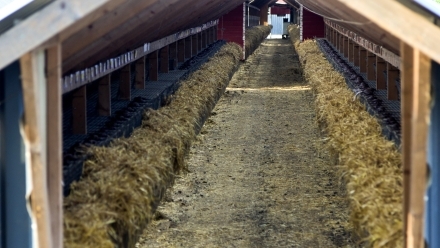 Beierholm-minkfarm-februar-2022