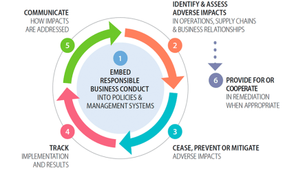 Beierholm-Bæredygtighed-illustr-OECDs-due-diligence-process