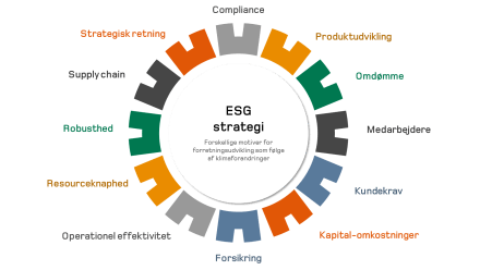 ESG strategi