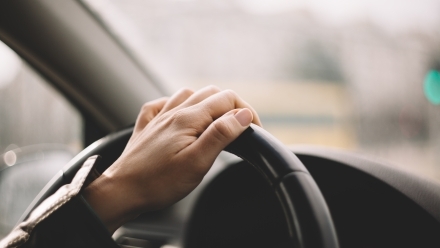 Beierholm firmabil go green.jpg