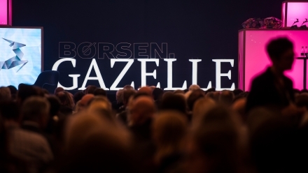 Børsen gazelle partner