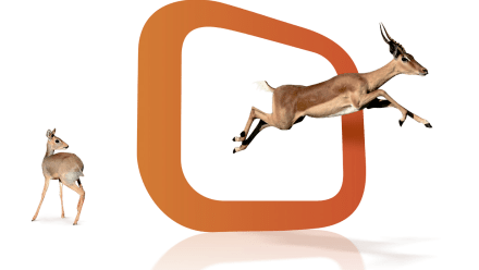 Gazeller_2D_O
