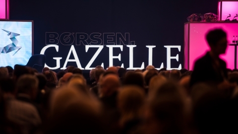 Børsen gazelle partner