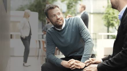 Interim revisor