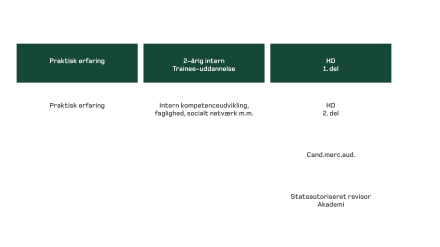 Beierholm-Uddannelsesforløb-revisortrainees-551x535.png