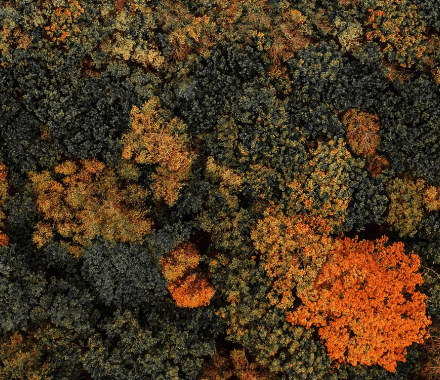 Tilmelding af nyhedsbrev