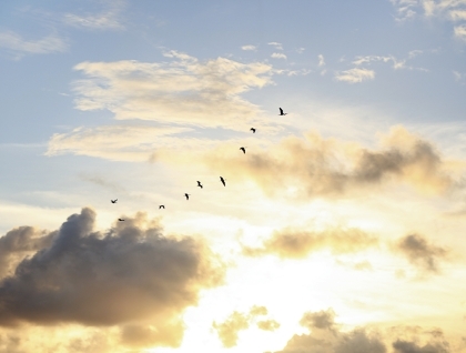 Skat af pensionsopsparing