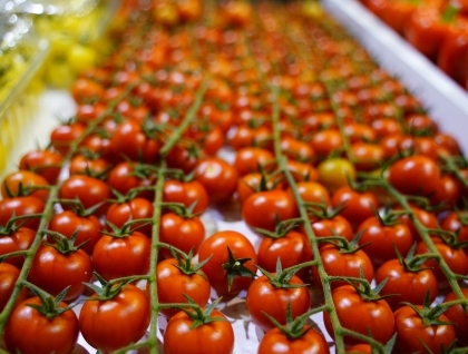 Beierholm energiafgifter walk in køling.jpg