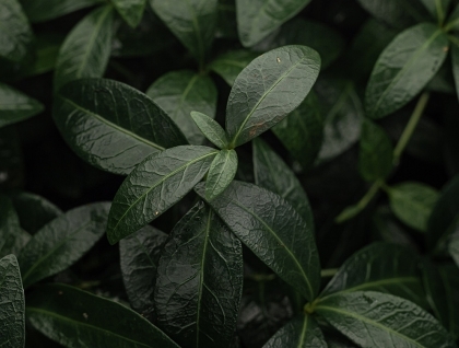 ESG to the point-HERO.jpg