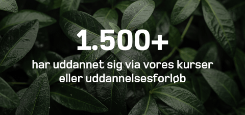 Klimaregnskaber