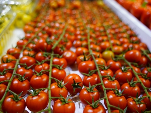 Beierholm energiafgifter walk in køling.jpg