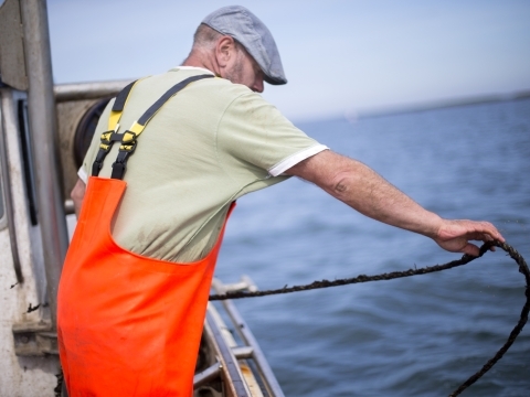 Landbrugsdiesel afgift