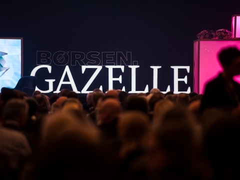 Børsen gazelle partner